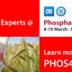 Glatt. Meet the Experts @ Phosphates 2020, 08-10 March in Paris, France