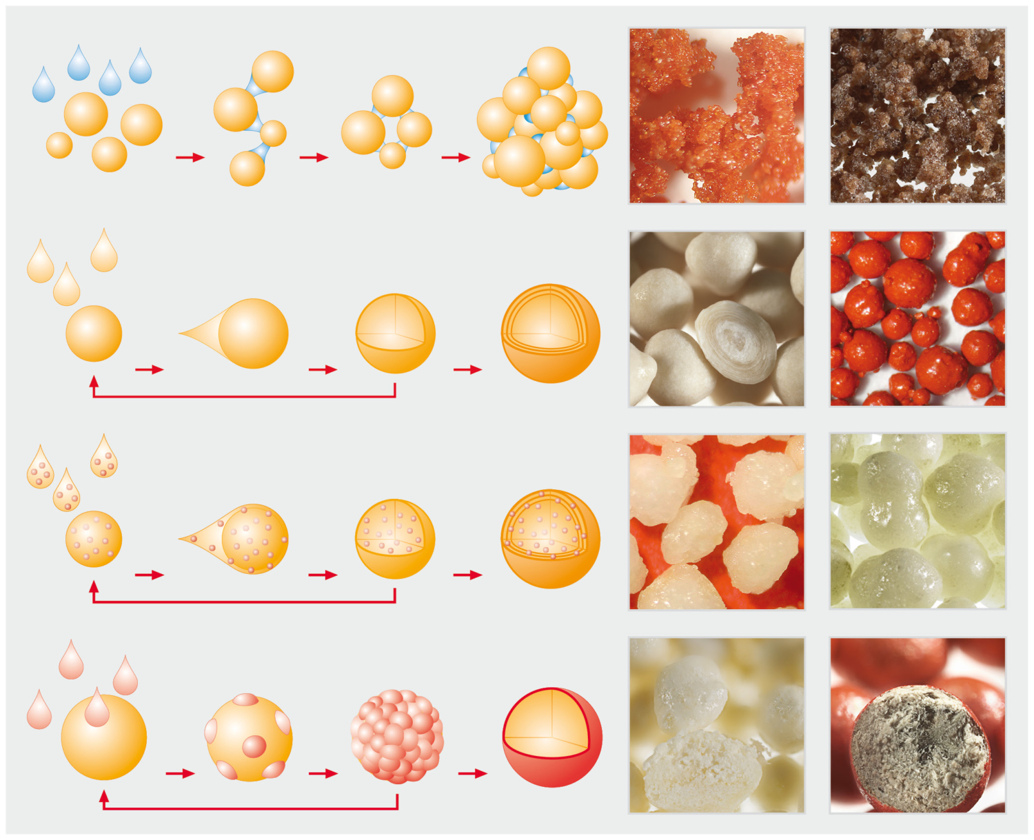 Functionalizing Particles, Granules and Pellets with Glatt Technologies