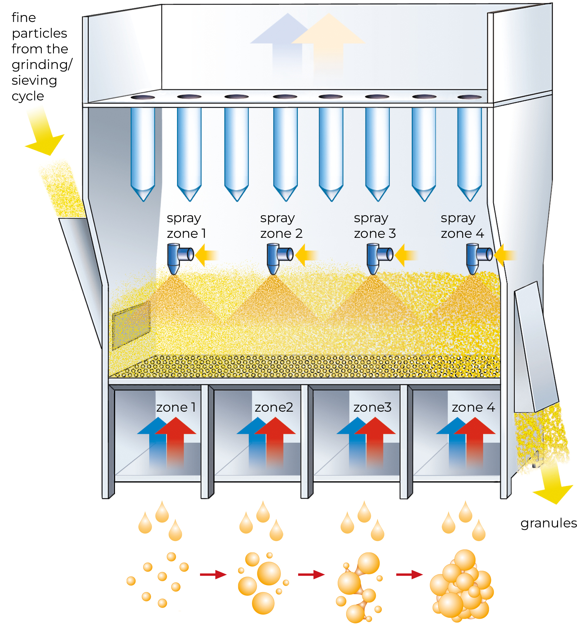 Glatt spray drying+agglomeration in the fluidized bed: Several processes in one step for improved solubility of proteins