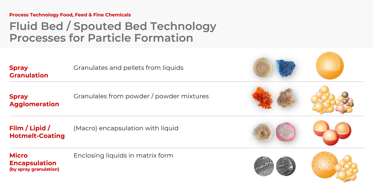 Main processes for particle design by Glatt fluid bed technology and spouted bed technology