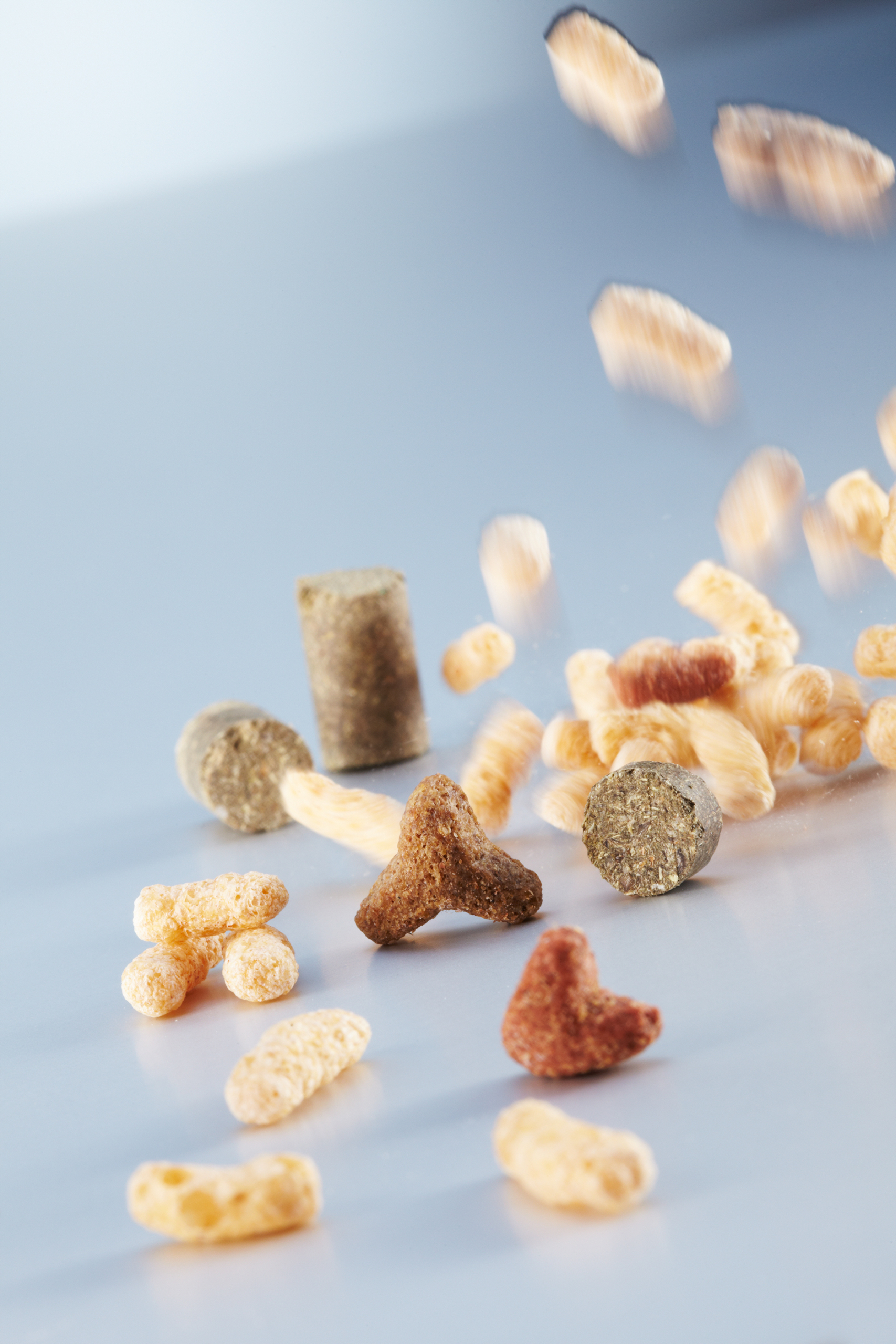 Glatt technologies for feed ingredients: processing enzymes, enrichment with vitamins and minerals, taste masking and homogeneous compounds. Glatt technologies for feed ingredients: processing enzymes, enrichment with vitamins and minerals, taste masking and homogeneous compounds.